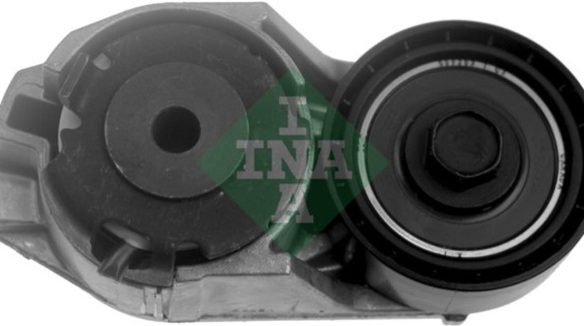 Intinzator curea, curea distributie (534016110 INA) FORD,JAGUAR