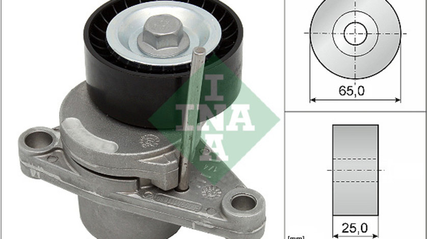 Intinzator curea, curea distributie (534025010 INA) Citroen,Citroen (DF-PSA),PEUGEOT,PEUGEOT (DF-PSA)