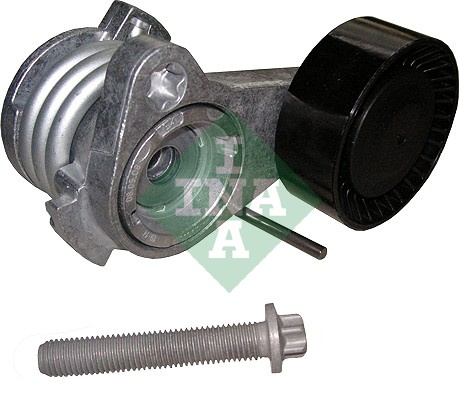 Intinzator curea, curea distributie (534025210 INA) BMW,BMW (BRILLIANCE)