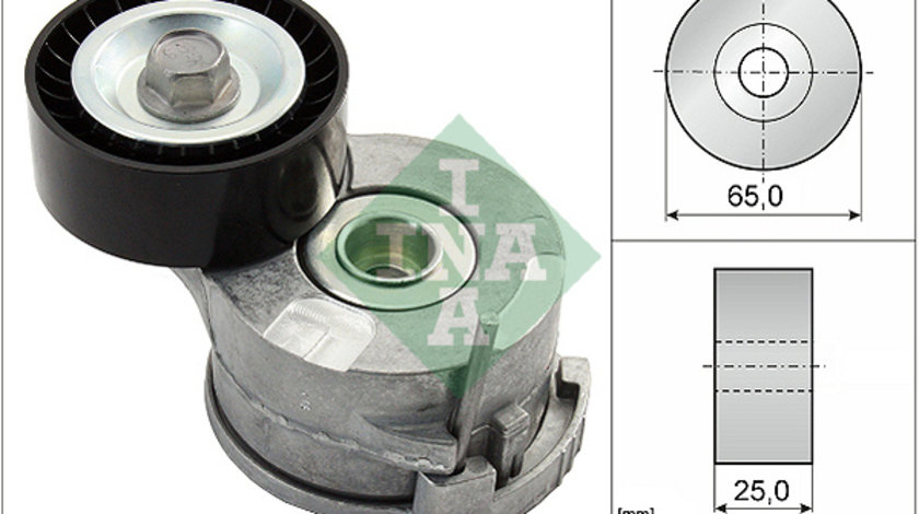 Intinzator curea, curea distributie (534036910 INA) Citroen,DS,FIAT,OPEL,PEUGEOT,TOYOTA