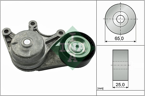 Intinzator curea, curea distributie (534053510 INA) BMW,BMW (BRILLIANCE)