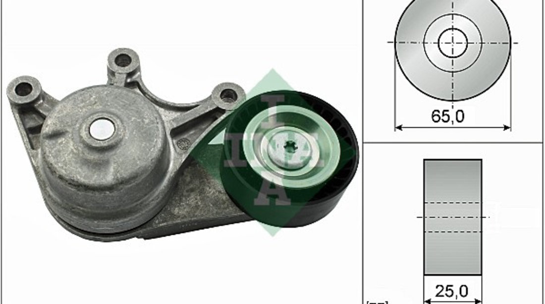 Intinzator curea, curea distributie (534053510 INA) BMW,BMW (BRILLIANCE)