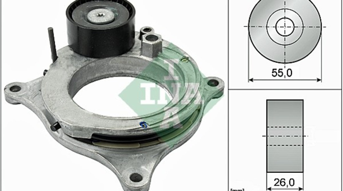 Intinzator curea, curea distributie (534059810 INA) BMW,BMW (BRILLIANCE)