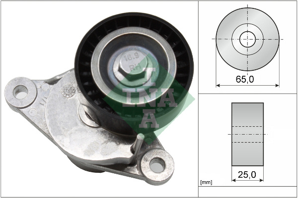 Intinzator curea, curea distributie (534065510 INA) Citroen,DS,PEUGEOT