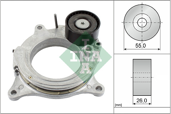Intinzator curea, curea distributie (534069210 INA) BMW,MINI