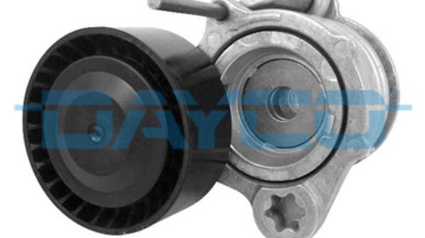 Intinzator curea, curea distributie (APV2774 DAY) BMW