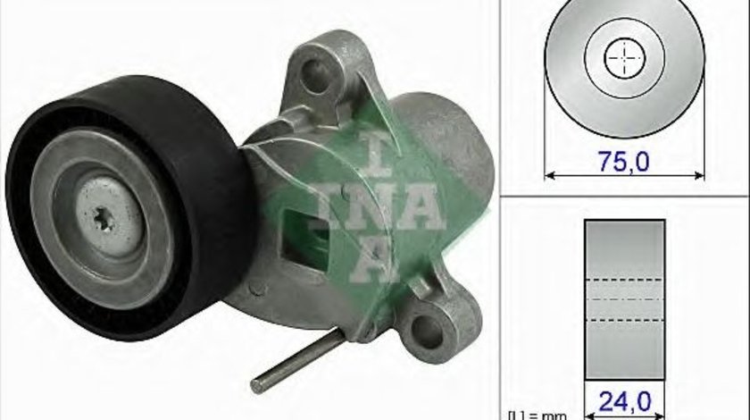 Intinzator curea, curea distributie FORD FIESTA VI (2008 - 2016) INA 534 0507 10 piesa NOUA