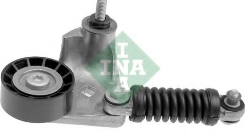 Intinzator curea, curea distributie JAGUAR X-TYPE Estate (CF1) (2003 - 2009) INA 534 0169 10 piesa NOUA