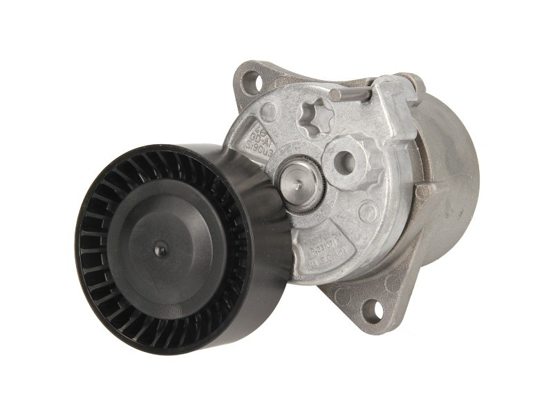 Intinzator curea, curea distributie MERCEDES S-CLASS (W220) (1998 - 2005) DAYCO APV2232 piesa NOUA