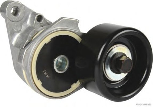 Intinzator curea, curea distributie TOYOTA LAND CRUISER 200 (VDJ2_, UZJ2_) (2007 - 2016) HERTH+BUSS ...