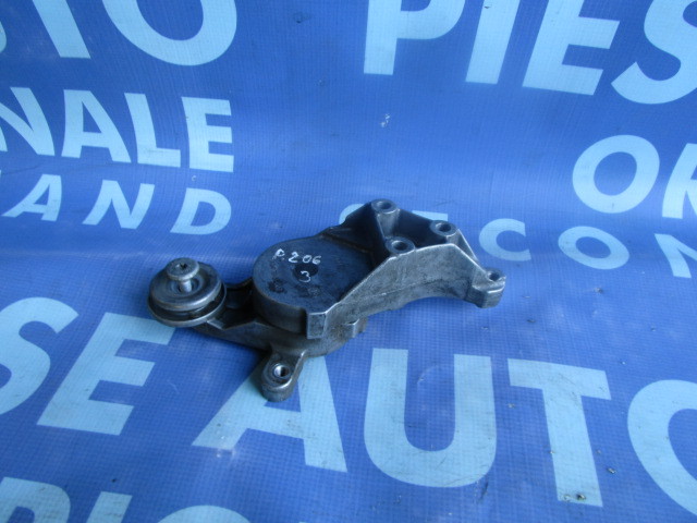 Intinzator curea Peugeot 206 1.9d ; 043401002