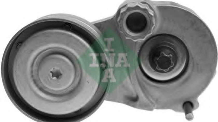 Intinzator,curea transmisie CHEVROLET AVEO Hatchback (T250, T255) (2007 - 2016) INA 534 0147 10 piesa NOUA