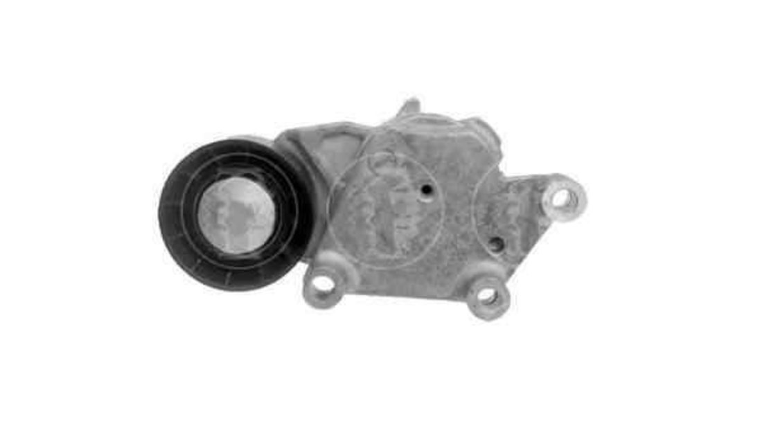 intinzator,curea transmisie CITROËN BERLINGO (MF) Producator FORD 1701514