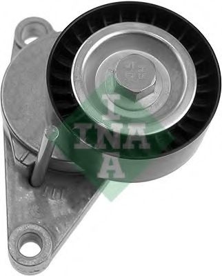 Intinzator,curea transmisie CITROEN C3 II (2009 - 2016) INA 534 0250 10 piesa NOUA
