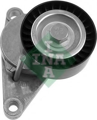 Intinzator,curea transmisie CITROEN C3 II (2009 - 2016) INA 534 0250 10 piesa NOUA