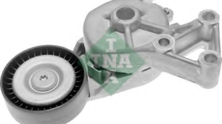 Intinzator,curea transmisie FORD GALAXY (WGR) (1995 - 2006) INA 534 0132 30 piesa NOUA