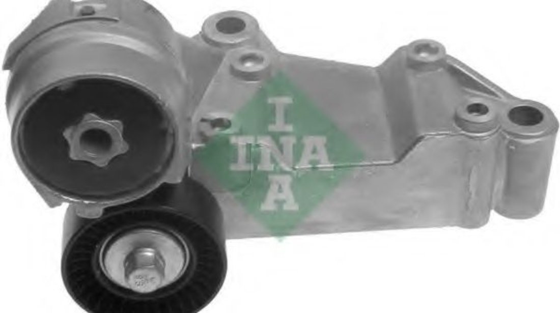 Intinzator,curea transmisie FORD TOURNEO CONNECT (2002 - 2016) INA 534 0146 10 piesa NOUA