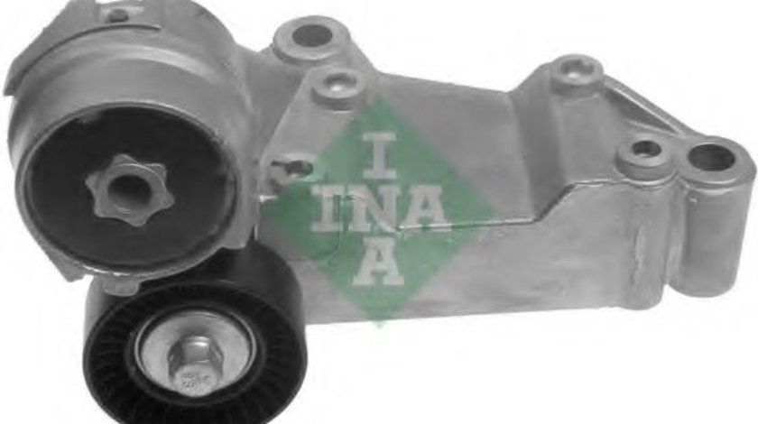 Intinzator,curea transmisie FORD TRANSIT CONNECT (P65, P70, P80) (2002 - 2016) INA 534 0146 10 piesa NOUA