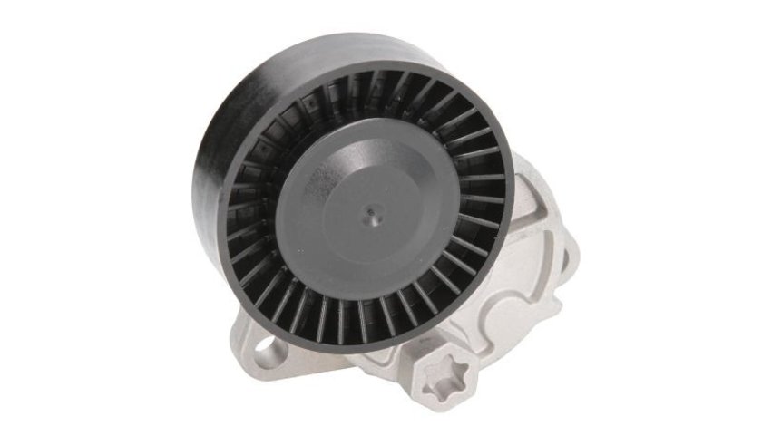 Intinzator,curea transmisie HYUNDAI TERRACAN (HP) KOREA E20301OEM