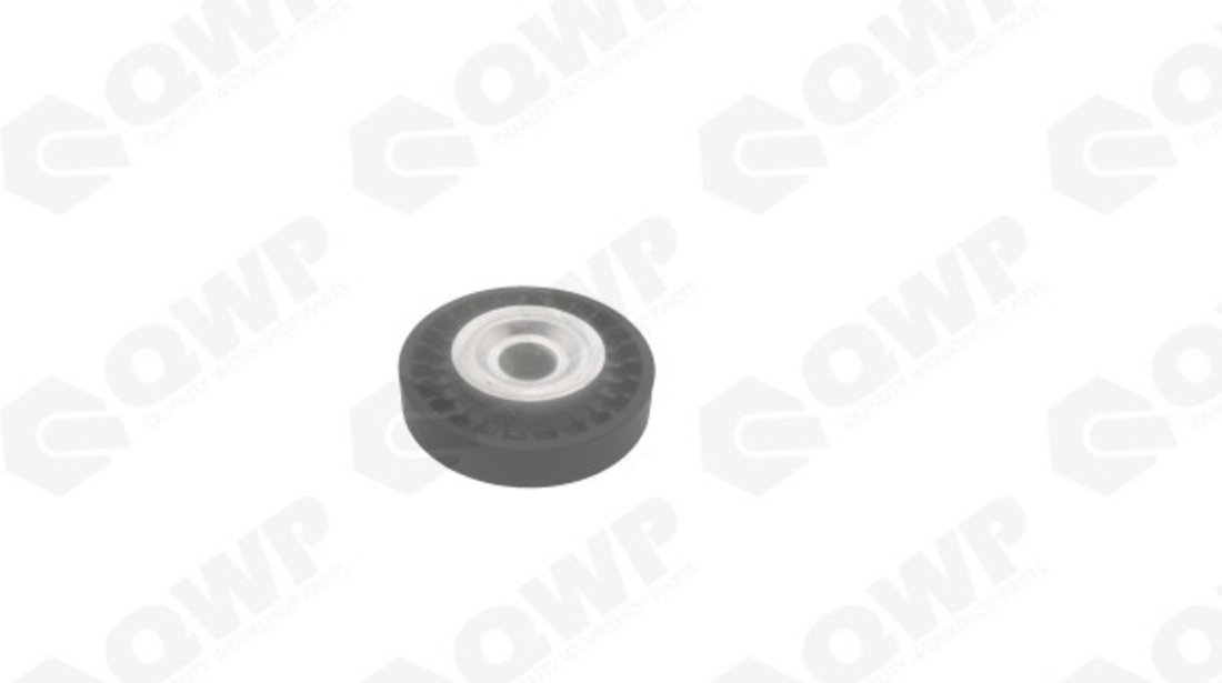 Intinzator,curea transmisie LAND ROVER FREELANDER Soft Top (LN) (1998 - 2006) QWP WBT077 piesa NOUA