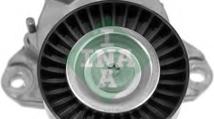 Intinzator,curea transmisie MERCEDES SPRINTER 5-t caroserie (906) (2006 - 2016) INA 534 0067 10 - produs NOU