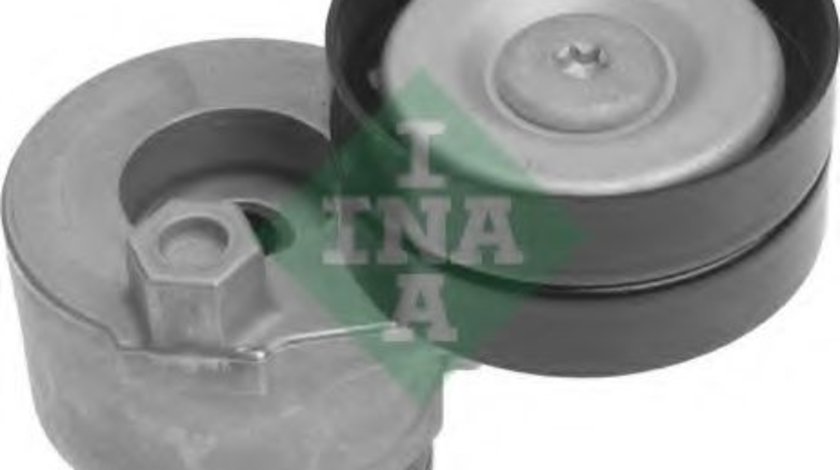 Intinzator,curea transmisie NISSAN INTERSTAR bus (X70) (2002 - 2016) INA 534 0142 30 piesa NOUA