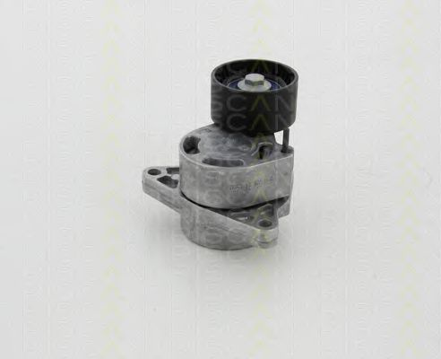 Intinzator,curea transmisie NISSAN PRIMASTAR caroserie (X83) (2002 - 2016) TRISCAN 8641 103039 piesa NOUA