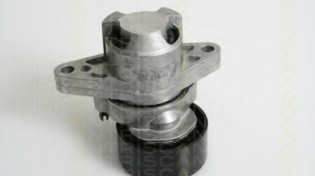 Intinzator,curea transmisie RENAULT LAGUNA I (B56, 556) (1993 - 2001) TRISCAN 8641 253008 piesa NOUA