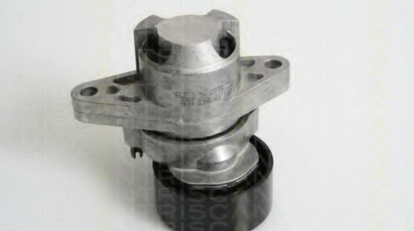 Intinzator,curea transmisie RENAULT LAGUNA I (B56, 556) (1993 - 2001) TRISCAN 8641 253008 piesa NOUA