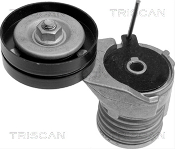 Intinzator,curea Transmisie Triscan Audi 8641 293002