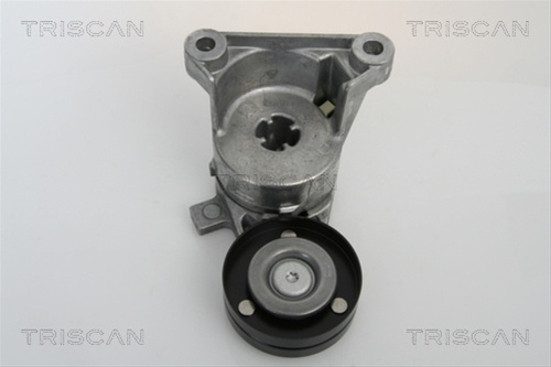 Intinzator,curea Transmisie Triscan Audi 8641 273003
