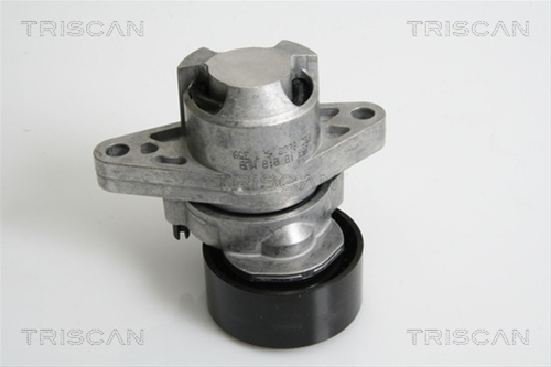 Intinzator,curea Transmisie Triscan Nissan 8641 253008