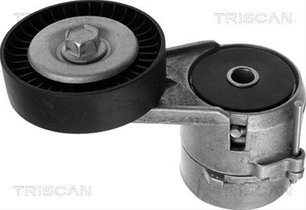Intinzator,curea Transmisie Triscan Opel 8641 243005
