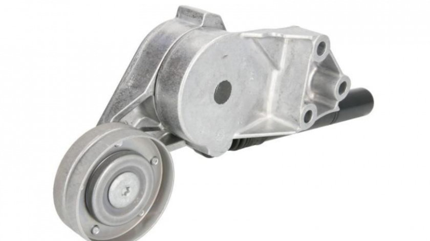 Intinzator curea Volkswagen AUDI A3 (8L1) 1996-2003 #2 038903315C