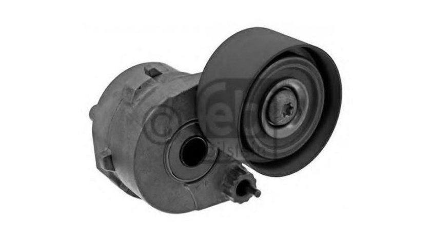 Intinzator distributie motor Mercedes ATEGO 2 2004-2016 #3 01067900A