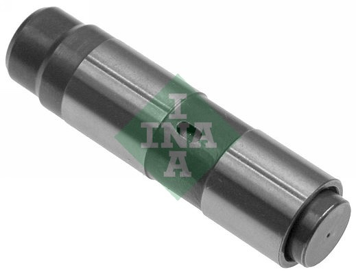Intinzator,lant distributie (551000810 INA) BMW