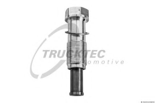 Intinzator,lant distributie BMW Seria 2 Cupe (F22, F87) (2013 - 2016) TRUCKTEC AUTOMOTIVE 08.12.023 ...