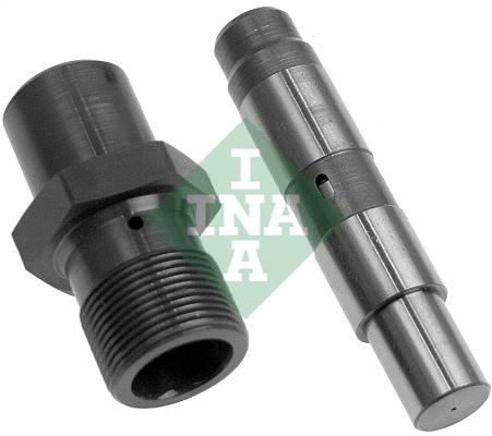 Intinzator,lant distributie partea de jos (551004810 INA) BMW