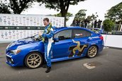 Isle of Man - record Subaru