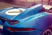 Jaguar Project 7