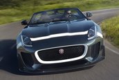 Jaguar Project 7