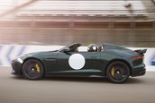 Jaguar Project 7