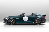 Jaguar Project 7