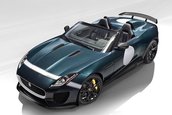 Jaguar Project 7