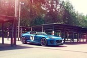 Jaguar Project 7