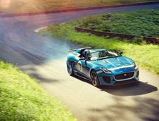 Jaguar Project 7