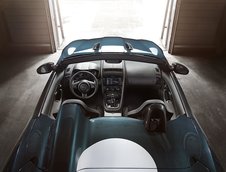 Jaguar Project 7