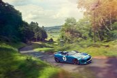 Jaguar Project 7