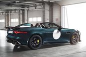 Jaguar Project 7