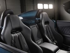 Jaguar Project 7